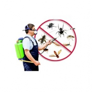 Best Pest control services in Hyderabad - LOCAL PEST 